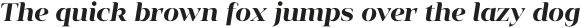 Vendura Light Italic otf (300)