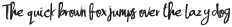 Handsome Script ttf (400)