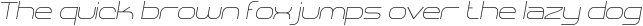 SHARY italic Thin otf (100)