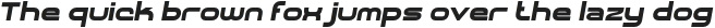 SHARY italic Black otf (900)