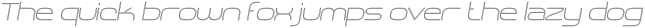 SHARY LINE italic Thin otf (100)