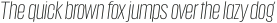 Anguita Sans Light It otf (300)