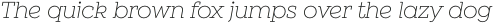 Winden Alt Light It otf (300)