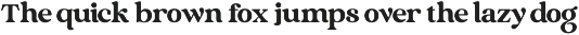 Vintage - Retro Serif Font font preview