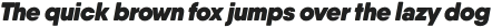 Qanelas Soft Heavy Italic otf (800)