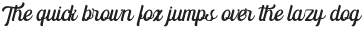 The Paiton Regular otf (400)