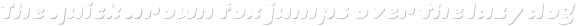 La Mona Pro Shadow Line Italic otf (400)