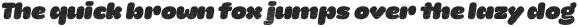 La Mona Pro Cloth Italic otf (400)