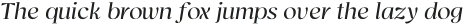 Bovino Light Italic otf (300)