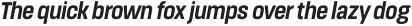 Masif Nr Bold It otf (700)