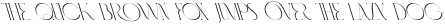 FashionableReverseItalic-Italic otf (400)