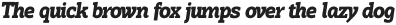 Hoyle Bold Italic otf (700)