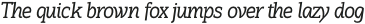 Hoyle Thin Italic otf (100)