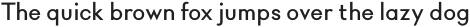 Rigidica Text Medium otf (500)