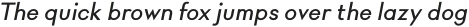 Rigidica Text Medium Oblique otf (500)