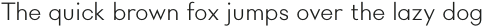 Rigidica Text Light otf (300)