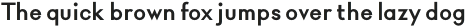Rigidica Text Bold otf (700)
