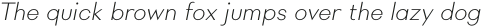 Rigidica Text Thin Oblique otf (100)