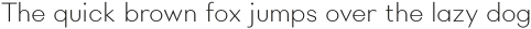 Rigidica Text Thin otf (100)