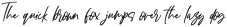 BrownSound otf (400)