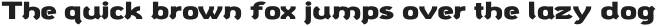 polyphonicus Bold Extended otf (700)