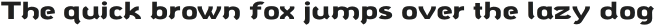 polyphonicus Medium Extended otf (500)