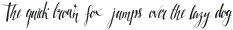 FamilyScript otf (400)
