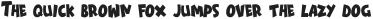 Daily Hours otf (400)