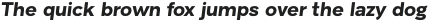 Romagna Bold Italic otf (700)