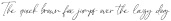 Sindenetta Italic otf (400)