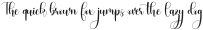 Sweetie__Moment otf (400)