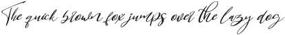 Bridesmaids Script Italic ttf (400)