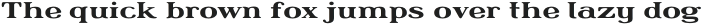 Sapientia Light Extended otf (300)
