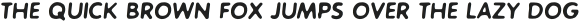RockfordItalic-ExtraBold otf (700)