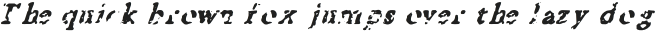 Raider Bold Italic Regular otf (700)