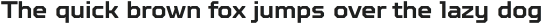 TT Octosquares Black Italic otf (900)
