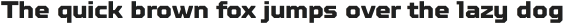TT Octosquares Expanded Bold Italic otf (700)