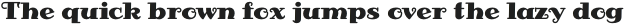 Rozy-Regular otf (400)