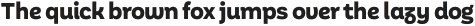 Aestetico Informal ExtraBold otf (700)