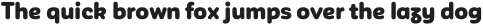 CorporativeSansRdAlt Thin otf (100)