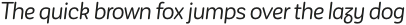 CorporativeSansRdAlt Light otf (300)