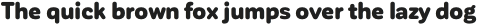 CorporativeSansRd Bold It otf (700)