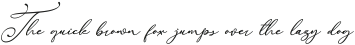 Raregold Italic ttf (400)