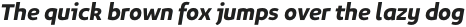 Niva Bold-Italic otf (700)
