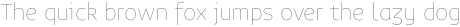 Niva-Alt Thin otf (100)