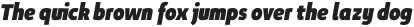 Niva ExtraBlack-Italic_Condensed otf (900)