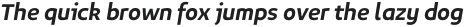 Niva Medium-Italic otf (500)