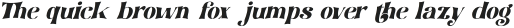 tommyfontthin-Italic otf (100)