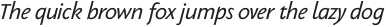 PGF-Now Book Italic otf (400)