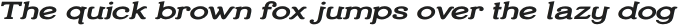TEMPORIS Bold Extended Italic otf (700)